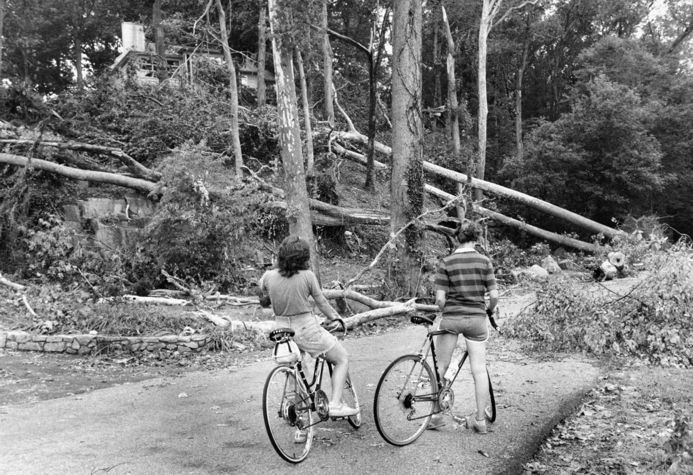 1981: June thunderstorms